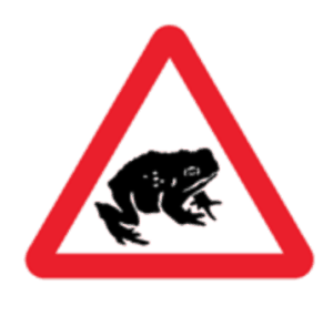 There Might Be Migratory Toads Crossing The Road – Great Britain 